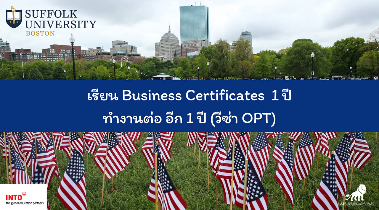 เรียน Business Certificates 1 ปีทำงานต่ออีก 1 ปี (วีซ่า OPT) มหาวิทยาลัย Suffolk University, Boston